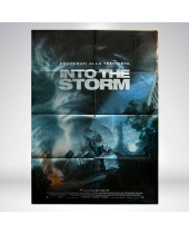 Manifesto Into The Storm